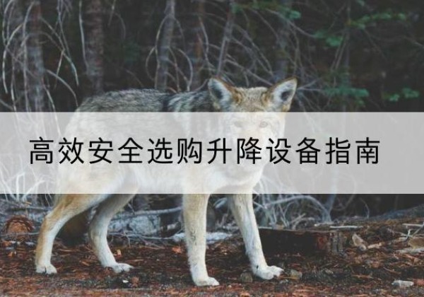 巍山升降货梯厂家推荐-*安全选购升降设备指南