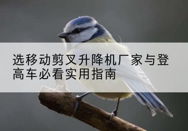 巍山电动升降机厂家-选移动剪叉升降机厂家与登高车必看实用指南