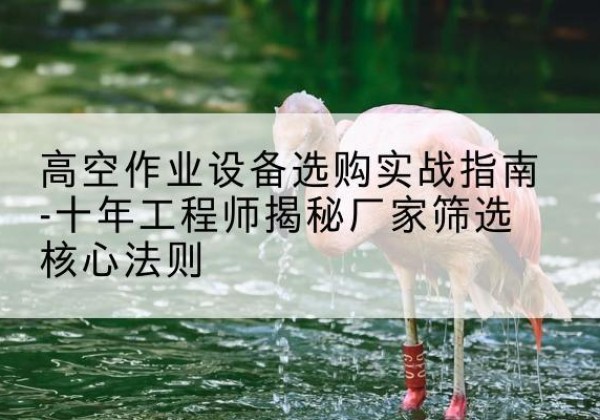 巍山剪叉式升降机厂家-高空作业设备选购实战指南-十年工程师揭秘厂家筛选核心法则
