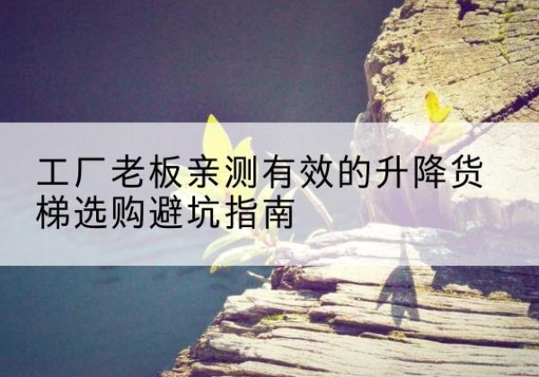 巍山升降货梯怎么选-工厂老板亲测有效的升降货梯选购避坑指南
